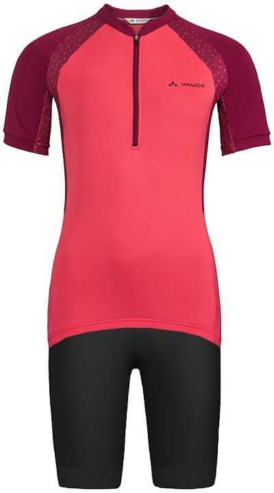 Alé GROUPAMA FDJ Franse kampioen 2021 Set(fietsshirt + fietsbroek ), voor heren, Fie