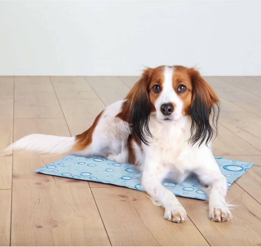 Trixie Cooling Mat 65 x 50 cm Druppel Lichtblauw